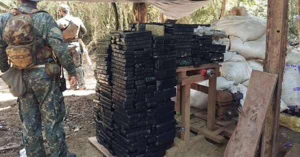 Diario HOY | Operativo Regresión 3: eliminan 300 toneladas de droga
