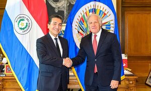Paraguay sostiene ante la OEA que se debe hacer recuentos de actas en Venezuela - Megacadena - Diario Digital