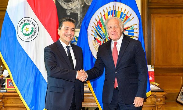 Paraguay sostiene ante la OEA que se debe hacer recuentos de actas en Venezuela - Megacadena - Diario Digital