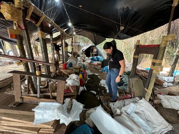 Incautación y Destrucción de Más de 3.500 Kilogramos de Marihuana en Operativo en Colonia Kira’y