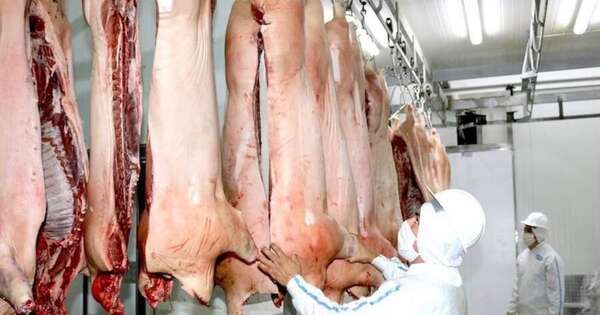 La Nación / Exportaciones de carne porcina permitieron el ingreso de USD 17 millones en julio