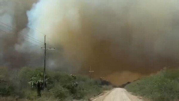 Incendios forestales al acecho en Alto Chaco moviliza a militares