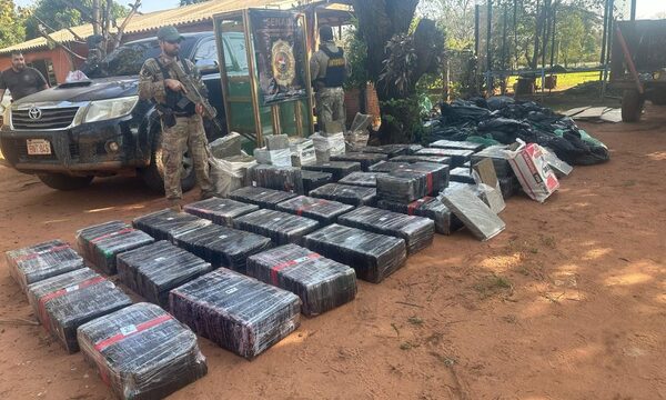 SENAD detecta «caleta» narco y 1,5 toneladas de marihuana en Itanará – Diario TNPRESS