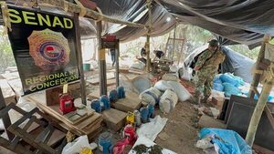 Desmantelan campamento de producción de marihuana en San Pedro