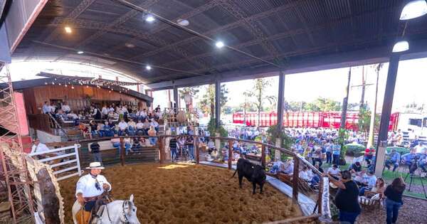 La Nación / Mañana, gran remate anual de Cabaña Sofía y Chajha