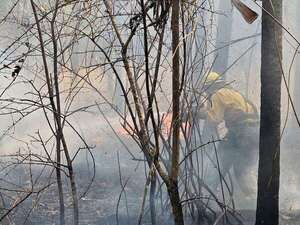 Incendios forestales: infierno rojo en Fuerte Olimpo - Noticias del Chaco - ABC Color