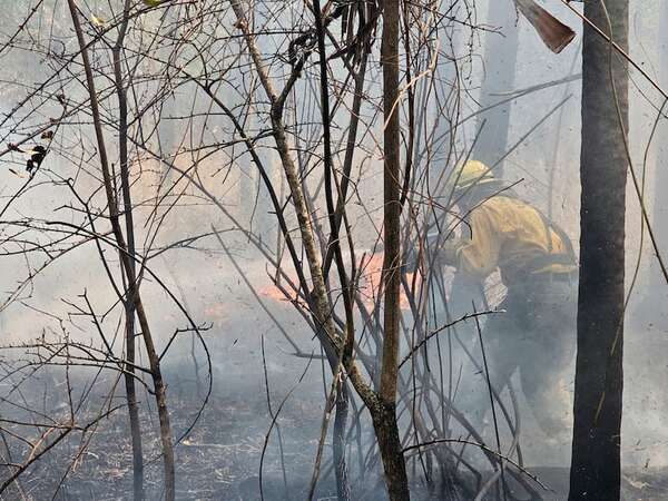 Incendios forestales: infierno rojo en Fuerte Olimpo - Noticias del Chaco - ABC Color
