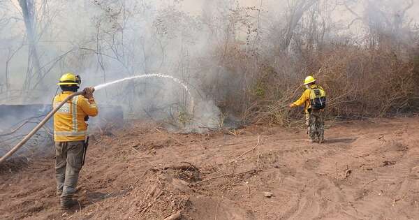 La Nación / Operación Tata Ñembogue: sigue combate a incendios forestales en el Chaco