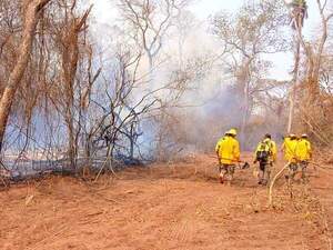 MADES insta a tomar medidas de precaución ante secuelas por incendios forestales