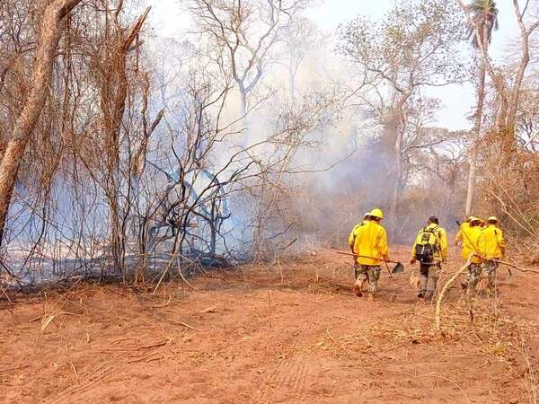 MADES insta a tomar medidas de precaución ante secuelas por incendios forestales