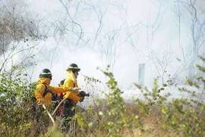 Bolivia reporta más de 23.000 focos de calor y 8 incendios forestales activos - Mundo - ABC Color