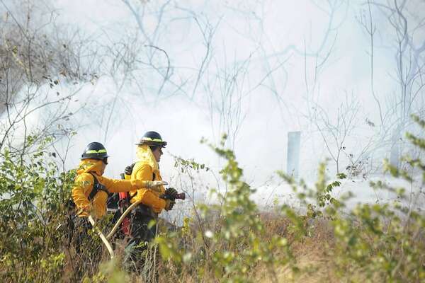 Bolivia reporta más de 23.000 focos de calor y 8 incendios forestales activos - Mundo - ABC Color