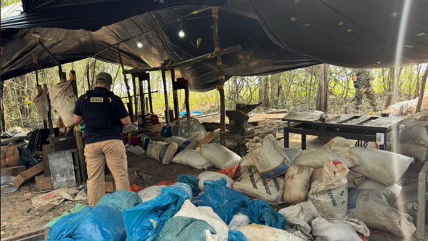 Hallan una megaindustria de marihuana en San Pedro - ADN Digital