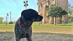 Chuco, el mejor guía turístico de Humaitá
