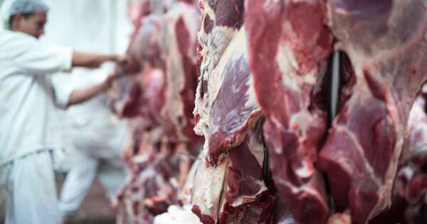 La Nación / Esperan que este mes mejore la cotización internacional de la carne ante mayor demanda china
