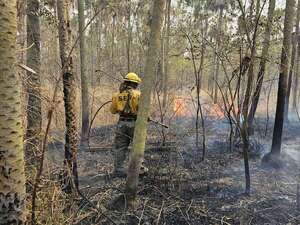 Bomberos y peones de estancias, en lucha titánica por combatir los incendios en Fuerte Olimpo - Noticias del Chaco - ABC Color