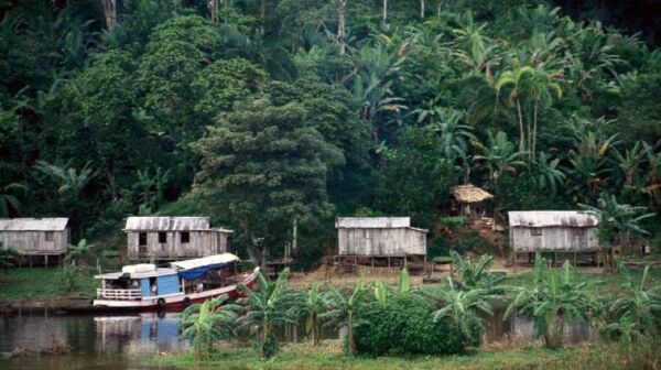 Biopiratería como una nueva forma de colonialismo ¿Qué es y cómo perjudica a Brasil?