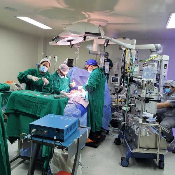 Hospital de Clínicas: logran exitoso trasplante de corazón - Unicanal