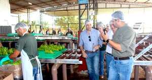 La Nación / Grado de inversión atraerá interés en rubro frutihortícola