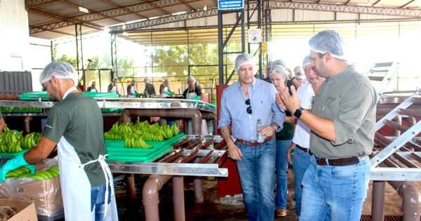 La Nación / Grado de inversión atraerá interés en rubro frutihortícola