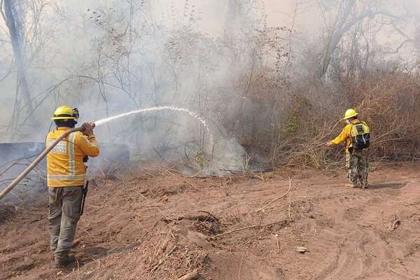 Ministro advierte que van a denunciar a quienes iniciaron incendios en el Chaco - Nacionales - ABC Color