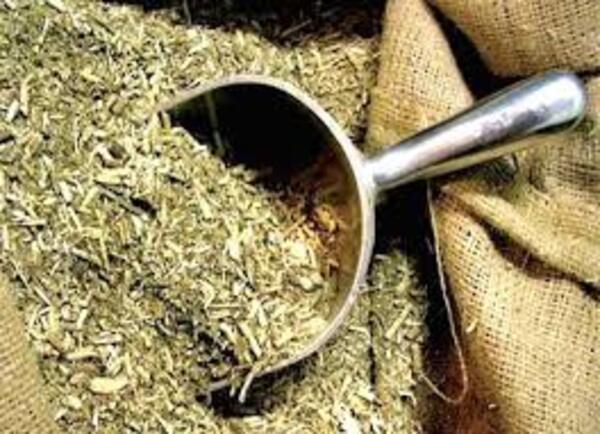 Yerba Mate: quieren fortalecer el comercio del rubro