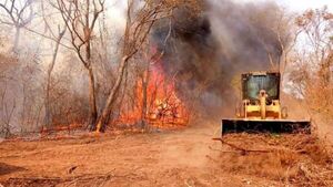 Ministro critica “actitud criminal” de productores por incendios provocados en el Chaco