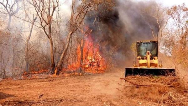 Ministro critica “actitud criminal” de productores por incendios provocados en el Chaco