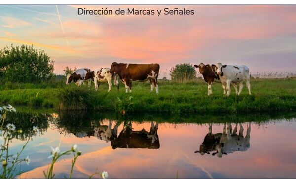 Marcas y Señales hará jornadas de trabajo en Misiones