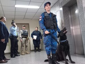 Una nueva falsa alarma en tribunales - Judiciales.net