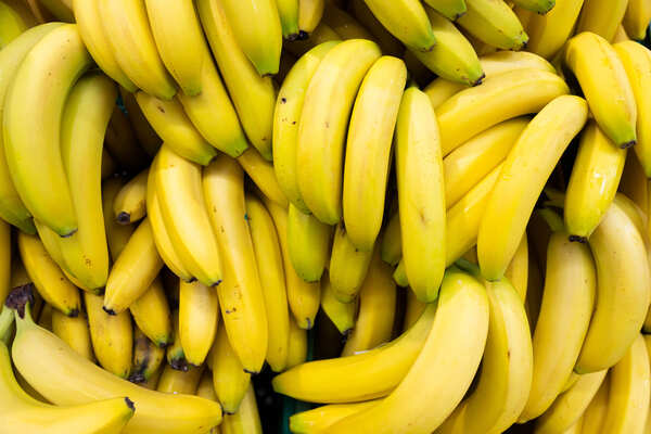 Paraguay amplía su mercado de exportación de banana con entrada a Brasil - MarketData