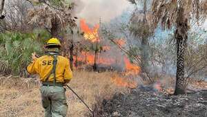 Esporádicos aguaceros no logran apagar incendios en Alto Paraguay - Noticias del Chaco - ABC Color
