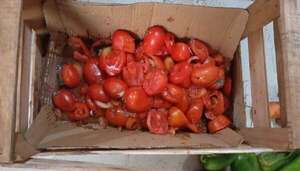 Hambre Cero: escuela del Chaco recibió frutas y verduras podridas - Nacionales - ABC Color