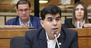 La Nación / Diputado Vaesken acusa a Nuevo Liberalismo de querer violar estatuto del PLRA