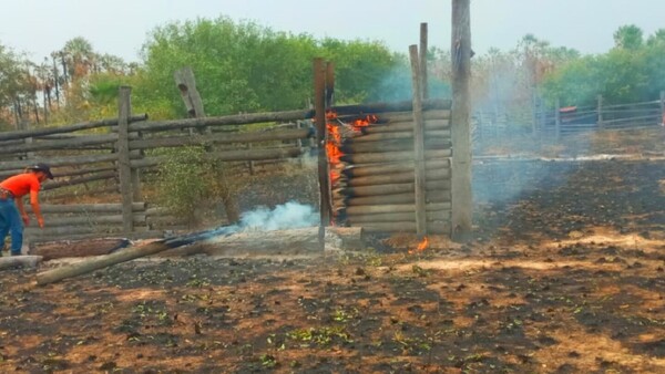 Chaco: Incendios forestales dejan pérdidas en estancias