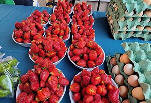 Ofrecen productos del campo sin intermediarios en dos Ferias de la Agricultura Familiar - .::Agencia IP::.
