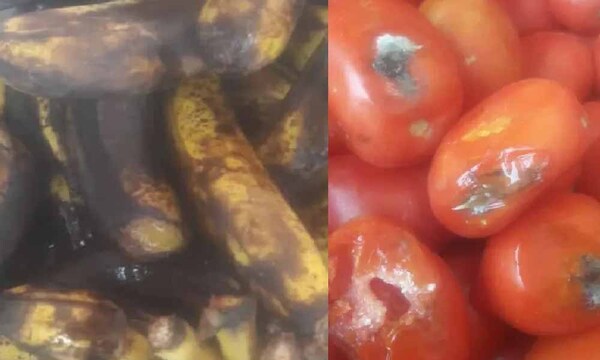Hambre Cero: Escuelas indígenas recibieron alimentos “como si fueran de la basura” – Prensa 5
