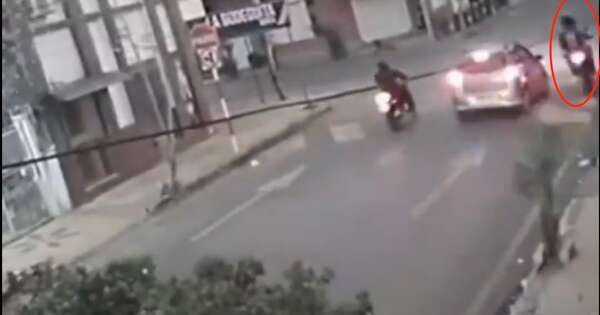 Diario HOY | VIDEO | Linces fueron atropellados por un bus