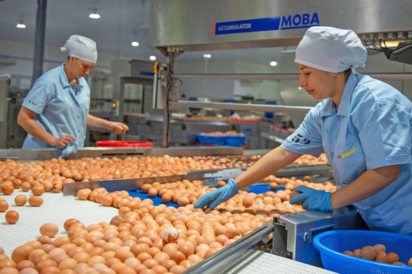 Empresa celebra 50 años apostando al trabajo y crecimiento del país - .::Agencia IP::.