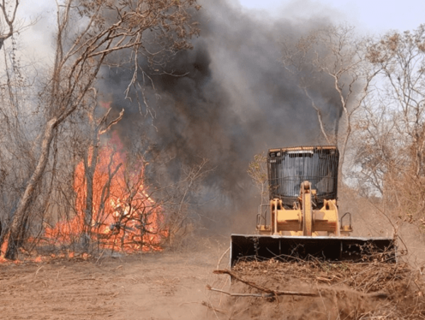 Incendios en el Chaco iniciaron por quema prescrita, según el Infona · Radio Monumental 1080 AM
