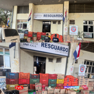 INCAUTACIÓN DE MERCADERÍAS Y VEHÍCULO EN OPERATIVO CONJUNTO EN ENCARNACIÓN - TVS