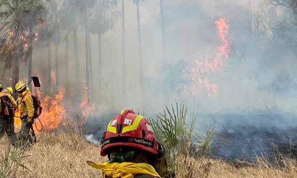 Miles de hectáreas consumidas por incendios en el Chaco: Infona está tras autores – Prensa 5