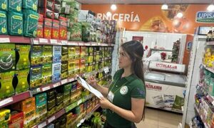 Canasta básica tuvo leve descenso en julio