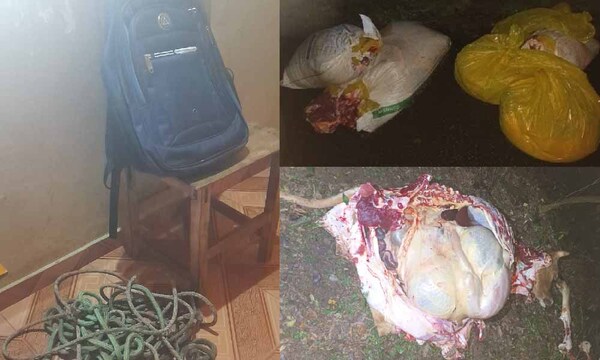 Abigeos fueron sorprendidos cuando faenaban dos animales vacunos: abandonaron la carne y huyeron – Prensa 5