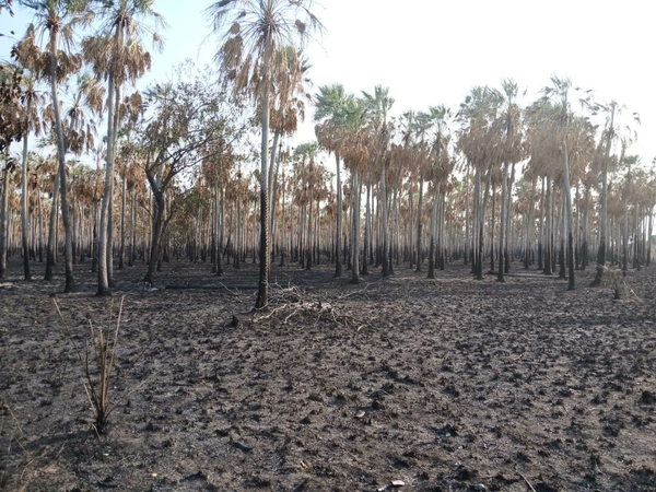 80 personas luchan contra incendios en Toro Pampa; en la última semana ya afectaron más de 50.000 hectáreas.