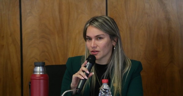Una diputada cartista busca privilegiar a funcionarios de la ANDE con compensaciones de hasta G. 100 millones