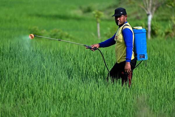 Suspenden el uso de un pesticida peligroso para la salud en Estados Unidos - Mundo - ABC Color