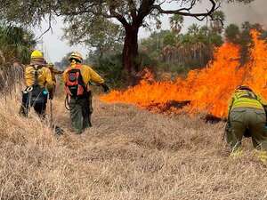 Incendios forestales: ganaderos sufren pérdidas millonarias en Fuerte Olimpo - Noticias del Chaco - ABC Color