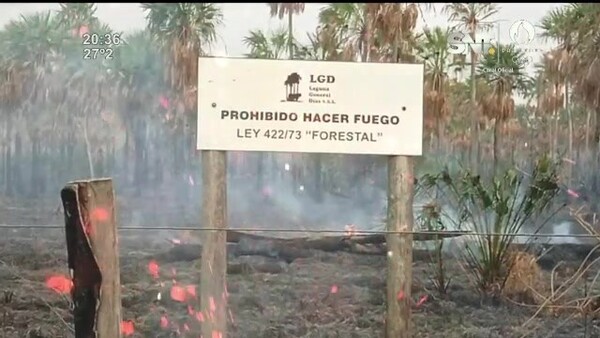 Entre incendios y humo tóxico - SNT