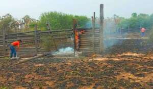 Incendios ocasionan cuantiosas pérdidas a ganaderos del Chaco - Economía - ABC Color